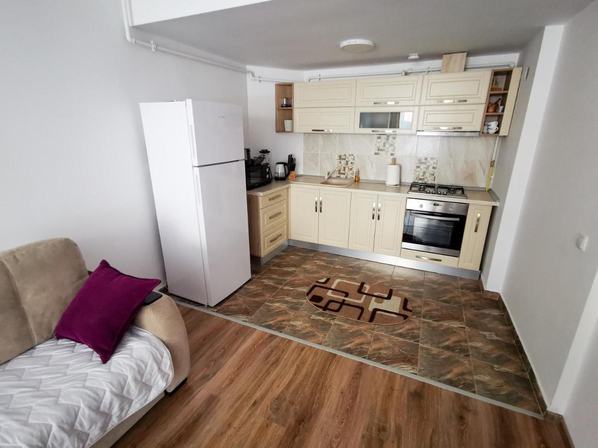 Orchid Luxury Apartment Сіная Екстер'єр фото